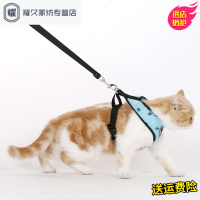 永德吉猫咪胸背带套装 拴猫绳溜猫绳子猫牵引绳猫链子宠物用品猫绳