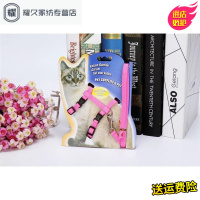 永德吉猫咪专用牵引绳防挣脱猫链子溜猫遛猫绳神器猫链猫绳子猫牵引用品