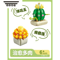 拓斯帝诺山姆积木多肉花束仿真盆栽桌面摆件女孩系列拼装玩具生日礼物