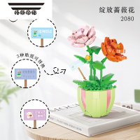 拓斯帝诺永生花积木多肉盆栽玫瑰花小雏菊桌面小摆件女孩益智拼装礼物