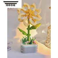 拓斯帝诺积木多肉花束小盆栽女生孩拼装益智玩具儿童节手工diy小礼物拼豆