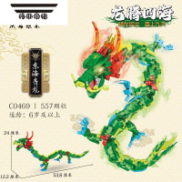 拓斯帝诺东海龙王四海龙冰龙青龙兼容国潮儿童男孩益智拼装积木玩具