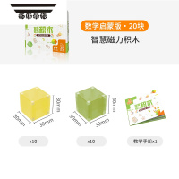 拓斯帝诺灵感乐园磁力积木磁力块早教版本20块黄绿色