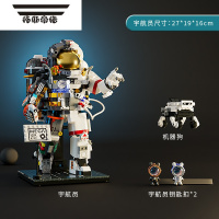 拓斯帝诺男孩拼装宇航员积木2023年新款男生系列玩具中国航天模型生日礼物
