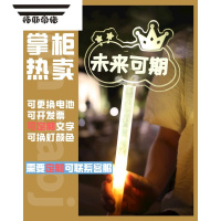 拓斯帝诺演唱会荧光棒定制粉丝手举手灯发光字助威气氛道具名字应援灯牌 模板5可改字