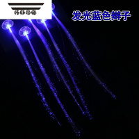 拓斯帝诺发光蝴蝶辫子闪光玩具儿童装饰七彩光纤丝夜光发饰地推小礼品货源 蓝色辫子[10个]
