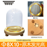 拓斯帝诺盲盒收纳展示架泡泡玛特亚克力收纳防尘盒单个手办popmart摆件