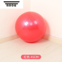 拓斯帝诺成人超大弹力球儿童感统球类玩具锻炼彩色软胶橡皮球瑜伽球大号训