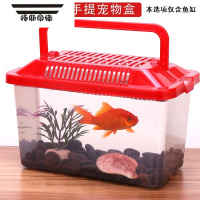 拓斯帝诺儿童磁性钓鱼竿小孩强力磁铁鱼竿仿真伸缩玩具小猫鱼竿磁头捞鱼网 金鱼缸10个