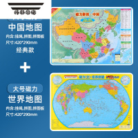 拓斯帝诺中国地图拼图磁力初中小学生磁性地理行政区世界地图儿童益智玩具 经典款大号中国+大号世界送放大镜