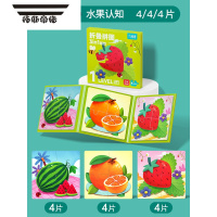 拓斯帝诺幼儿童磁性拼图1-2宝宝益智早教3-6岁男孩女孩进阶磁力平图板玩具 1阶-水果认知[建议1-2岁] 4P/4P/