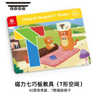 拓斯帝诺贝曼儿童磁性七巧板拼图铁盒便携立体拼板幼儿园益智玩具 中级款-T形空间