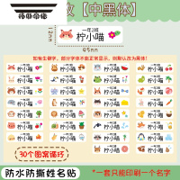 拓斯帝诺姓名贴幼儿园防水防撕儿童名字贴纸小学生铅笔宝宝个性水杯名牌贴