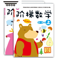 拓斯帝诺阶梯数学2-3-4-6岁幼儿园儿童潜能开发益智早教游戏智力贴纸玩具