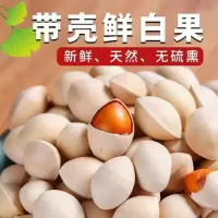 新鲜白果子银杏果1斤 生百果仁无漂白带壳白果邳州特产