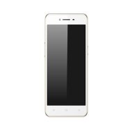 OPPO A37移动版 金（A37t）
