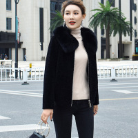 2017新品海宁皮草羊剪毛大衣女韩版狐狸毛领脱卸短款羊毛外套