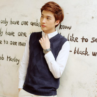 秋冬季新款男士V领修身毛线背心纯色针织衫男无袖毛衣男