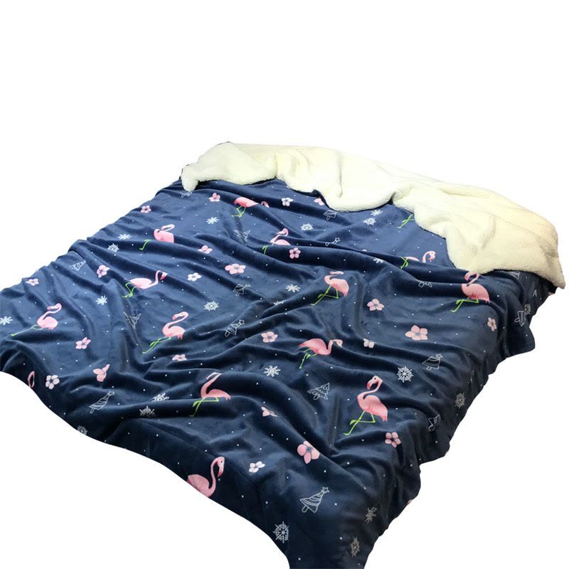 双层毛毯被子加厚午睡毯沙发毯单人宿舍学生冬季法兰绒珊瑚绒毯子图片