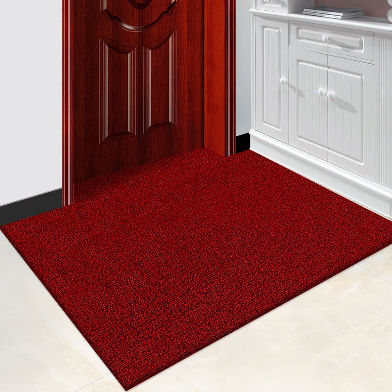 丝圈地垫门垫进门入户地毯门厅家用门垫门口脚垫可裁剪pvc地垫子图片