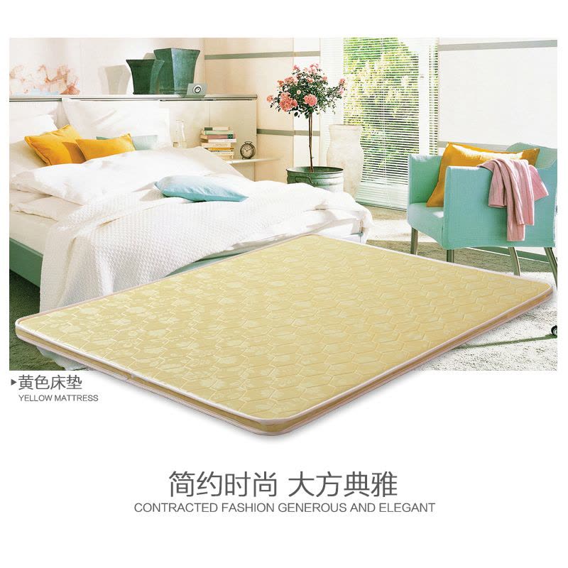 床垫棕垫1.5米成人经济型床垫子1.8米3E椰梦维偏硬垫图片