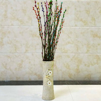 银柳干花腊梅植物水培装饰彩色年宵鲜枝 室内 客厅 盆栽