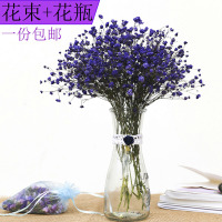满天星干花带花瓶干花低价免运费勿忘我花束diy散装饰