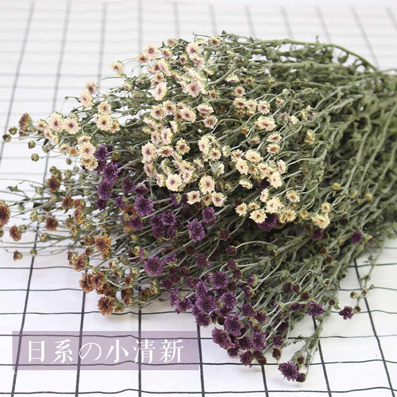 自然风干小雏菊云南天然真花干花束迷你小菊花日系小清新田园简约