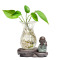 绿萝花盆玻璃花瓶透明桌面创意小和尚禅意摆件插花铜钱草水培容器