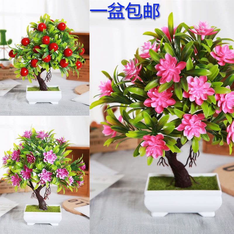 仿真发财树植物盆栽盆景雪莲花小树绿植家居装饰品 桌面植物摆件图片