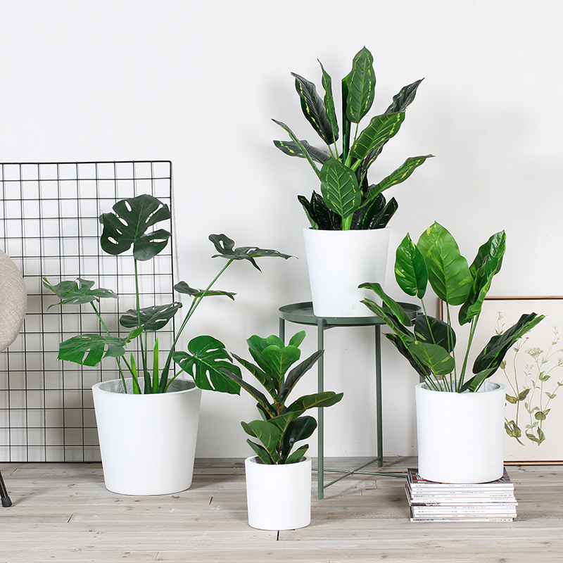 闽威装饰摆件北欧仿真植物大型落地盆景绿植天堂鸟龟背绿萝白水泥盆栽摆件 价格图片品牌报价 苏宁易购美润家纺专营店