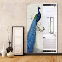 大镜子全身穿衣镜壁挂简约现代玄关装饰画多功能推拉镜网红化妆镜