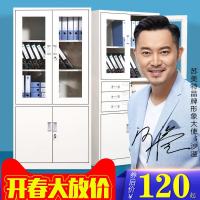 办公文件柜 铁皮柜档案柜资料柜财务凭证柜带锁矮柜储物柜子