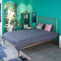 北欧现代简约成人金色铁艺床1.8米双人铁床1.5单人金属公主铁架床