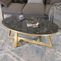 北欧大理石椭圆形茶几简约现代小户型网红客厅欧式轻奢铁艺家用桌