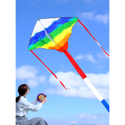 新款彩虹风筝儿童微风个性网红风筝闪电客大型高档风筝大人专用