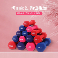 哑铃女士健身家用器材哑铃男士健身家用器材实心铸铁学生减肥两只共1公斤[0.5kg*2只]