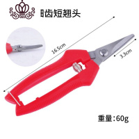 封后摘果剪园艺修枝剪稀果剪刀水果桔子蔬菜采摘葡萄剪子采果摘果剪刀