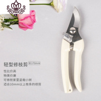 封后日式花艺剪刀池坊插花剪家用修枝剪小原流园艺剪花艺师专用剪花剪