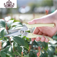 封后园林花艺省力剪子花剪园艺修剪树枝剪粗枝果树剪枝修花剪刀修枝剪