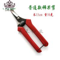 封后采果剪 摘果剪 蔬果剪 小花剪 15厘米长弹簧剪 园艺小剪刀 稀果剪