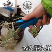 封后3个新款多肉剪头剪刀 园艺剪刀 修剪工具 使用方便 种植工具