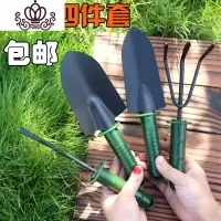 封后园艺工具用品大号塑柄喷漆翻土种植四件套装土铲子耙子锹锄头TH10