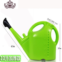封后浇花特大加厚洒水壶喷壶10喷头浇水壶园艺用品浇花器洒水