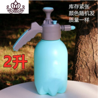 封后消毒喷壶打药壶背式喷雾器酒精84消毒液专用手动手压喷雾机 2升小喷壶(此款广东次)(此款广东次