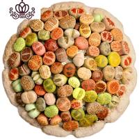 封后南非混生石花多肉植物整盆新手套餐室内好养彩色石头屁屁花PP A4套餐80颗生石花(0.7-0.9CM) 花卉绿植盆栽