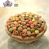 封后南非混生石花多肉植物整盆新手套餐室内好养彩色石头屁屁花PP B2套餐20颗南非混(1-1.2CM) 裸根花卉绿植盆栽
