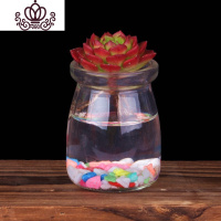 封后水培多肉植物组合盆栽多肉花植物论斤肉肉植物超萌多肉含盆 蒂亚+布丁瓶+彩色石子 含盆