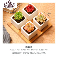 封后MMH多肉植物组合新手套餐肉肉多肉花植物含白瓷花盆花卉盆栽 四格组合 含盆