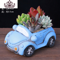 封后多肉植物组合小盆栽新手套餐花卉肉肉植物室内花含盆净化空气绿植 [小汽车](蓝色甲壳虫) 含盆